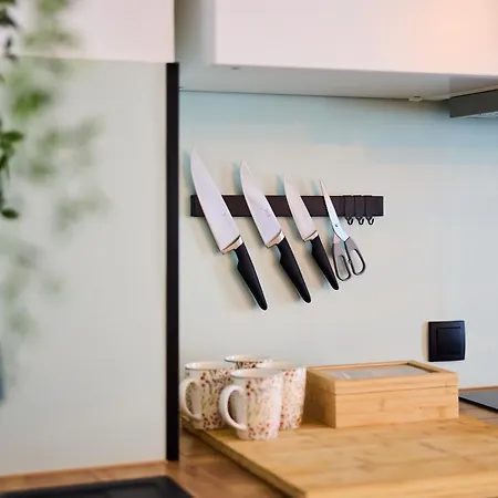 Grosszuegiges Studio-apartment * 德累斯顿