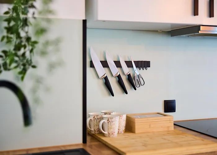 Grosszuegiges Studio-apartment * 德累斯顿