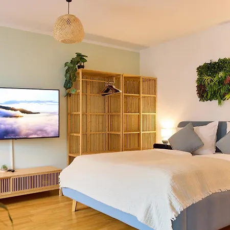 Grosszuegiges Studio-apartment Dresden
