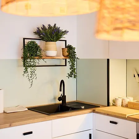 Daire Grosszuegiges Studio-apartment Dresden