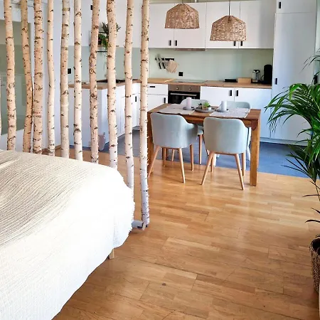 Grosszuegiges Studio-apartment Apartman *