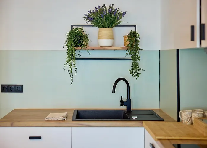 Großzügiges Studio-apartment Apartment *