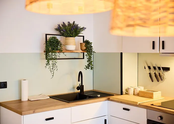 Apartment Großzügiges Studio-apartment Dresden